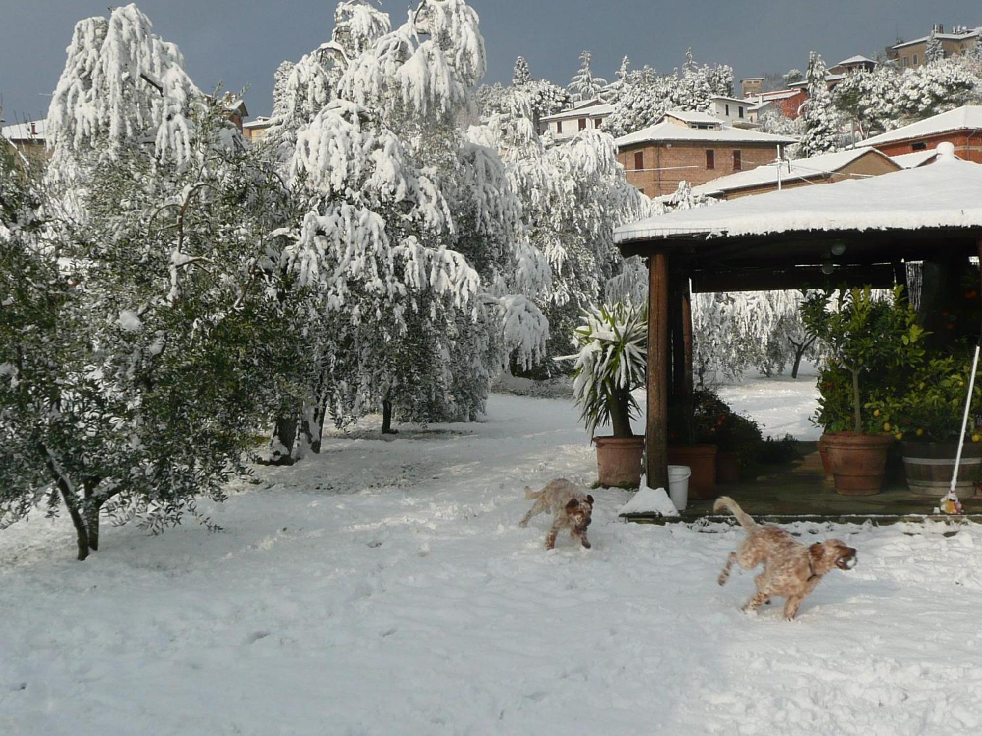 Il Baraccotto Bed & Breakfast Lucignano Exterior photo